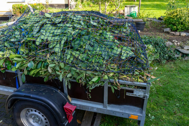 Best Estate Cleanout  in Sublimity, OR